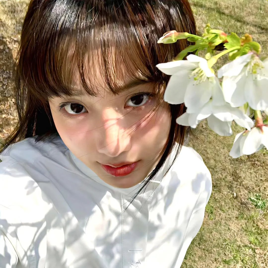 花与爱丽丝杀人事件