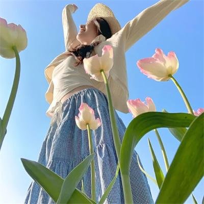 勇鼠闯天堂
